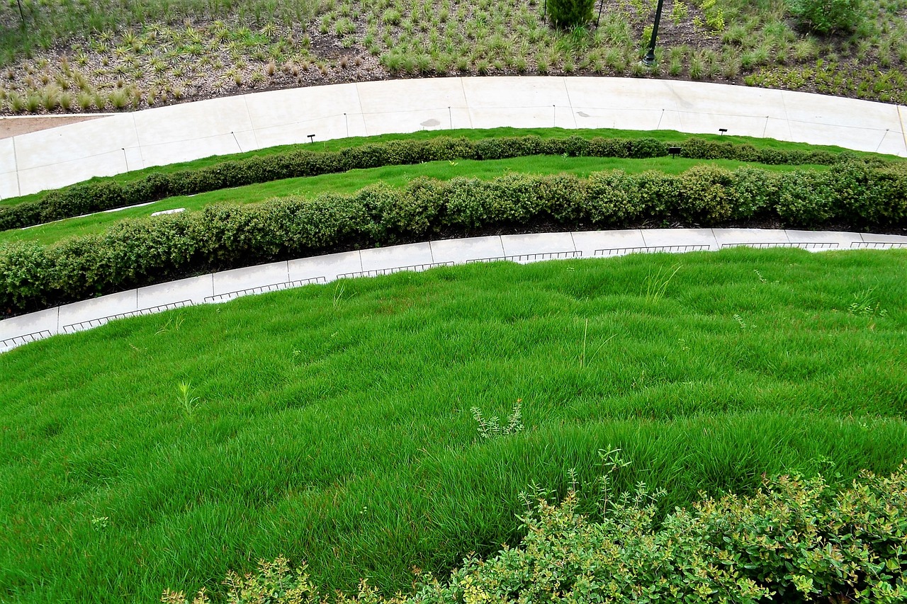 A picture of the results of our cutting edge lawn service