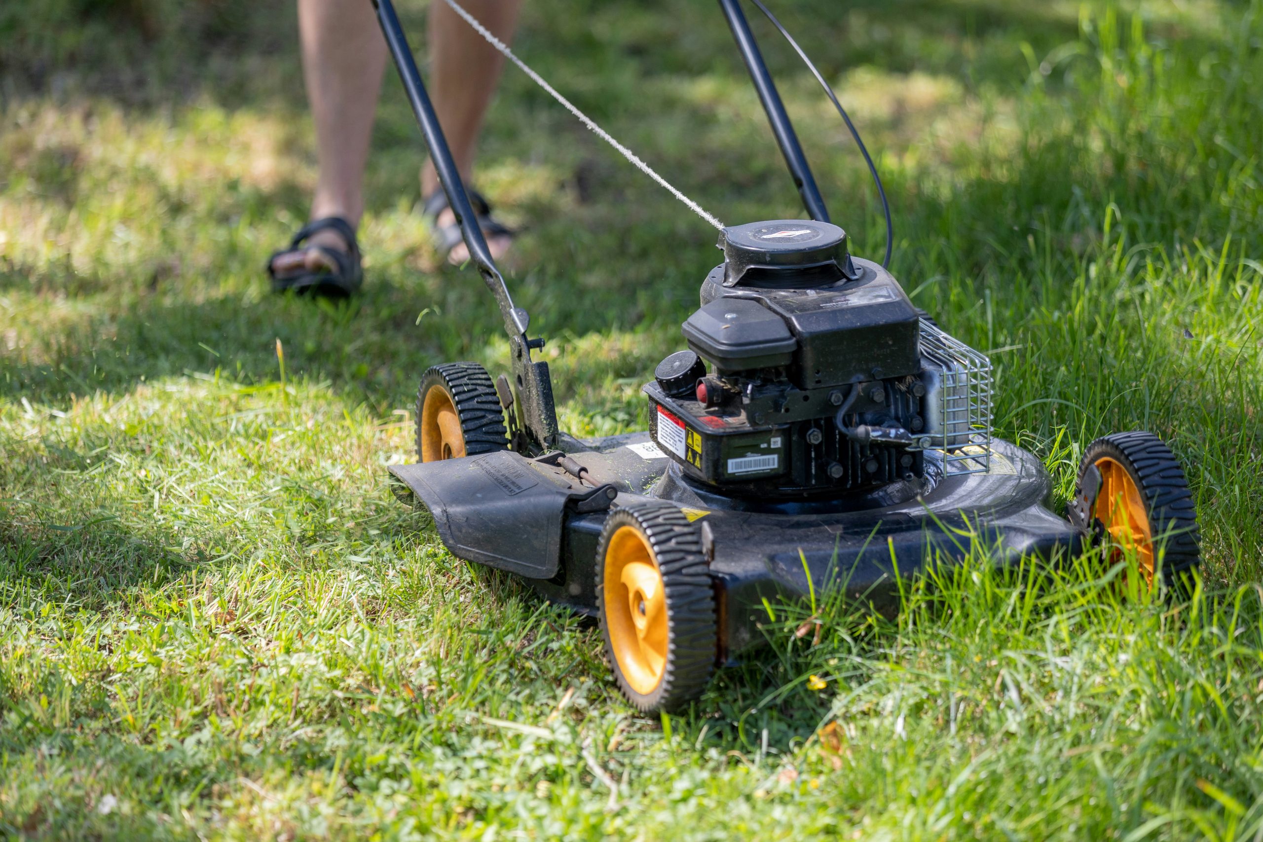 Cutting Edge Lawn Service Picture
